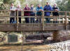 Group photo on a bridge