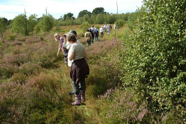 Wybunbury Moss