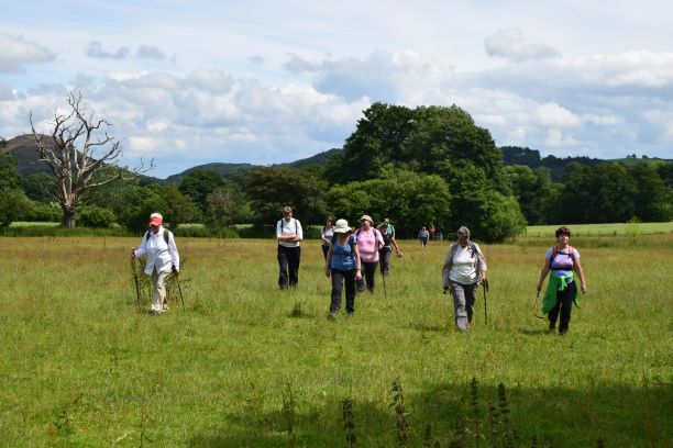 Chris Bagley Walk