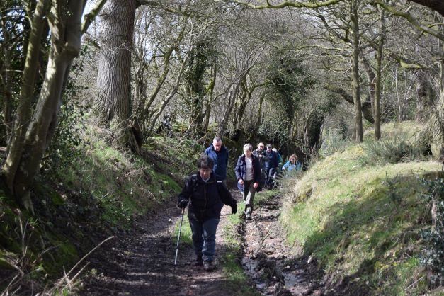 Fairy Glen