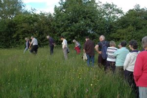 Melverley Meadows