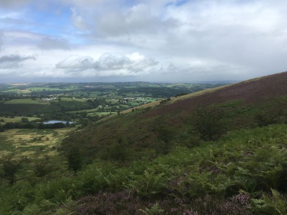 from Moel Famau