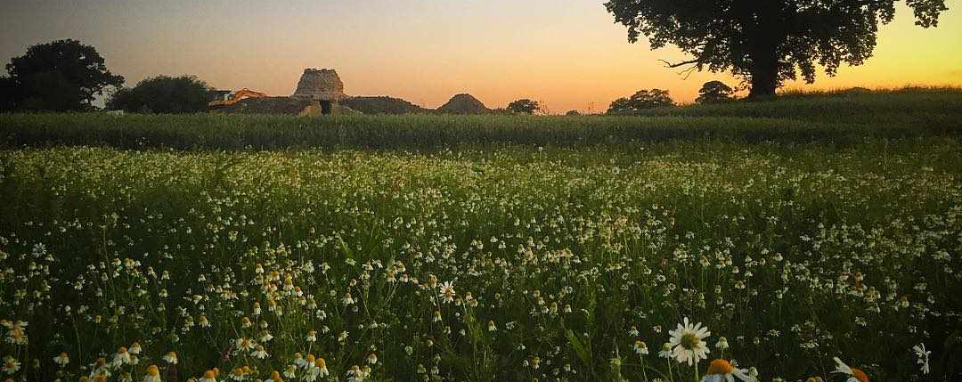 Soulton Long Barrow